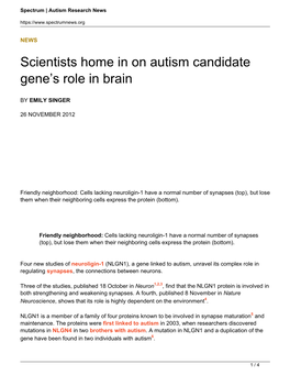 Scientists Home in on Autism Candidate Gene's Role in Brain