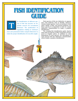 Fish Identification Guide Depicts More Than 50 Species of Fish Commonly Encoun- Make the Proper Identification of Every Fish Caught