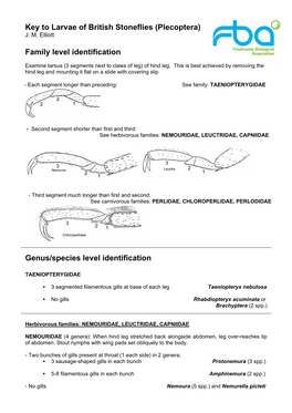 Key to Nymphs of Stoneflies (Plecoptera)