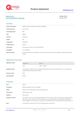 Anti-CDC42EP3 Antibody (ARG57374)