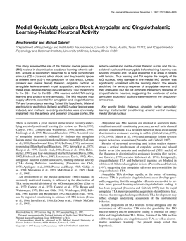 Medial Geniculate Lesions Block Amygdalar and Cingulothalamic Learning-Related Neuronal Activity