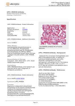 LPP3 / PPAP2B Antibody Rabbit Polyclonal Antibody Catalog # ALS11511