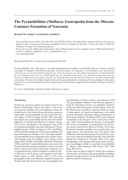 The Pyramidellidae (Mollusca: Gastropoda) from the Miocene Cantaure Formation of Venezuela