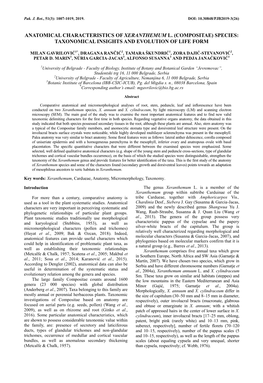 Anatomical Characteristics of Xeranthemum L