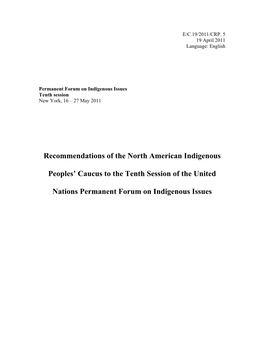 Recommendations of the North American Indigenous Peoples