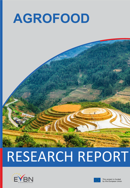 Research Report