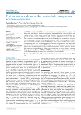 Erythropoietin and Cancer: the Unintended Consequences of Anemia Correction