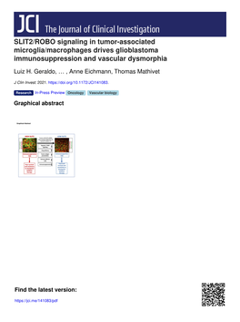 SLIT2/ROBO Signaling in Tumor-Associated Microglia/Macrophages Drives Glioblastoma Immunosuppression and Vascular Dysmorphia