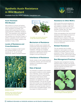 Synthetic Auxin Resistance in Wild Mustard Available from the HRAC Website: Hracglobal.Com