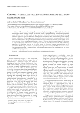 Comparative Bioacoustical Studies on Flight and Buzzing of Neotropical Bees