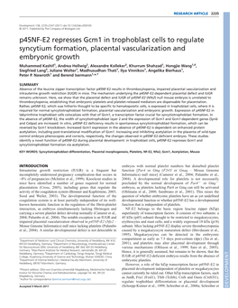 P45nf-E2 Represses Gcm1 in Trophoblast Cells to Regulate