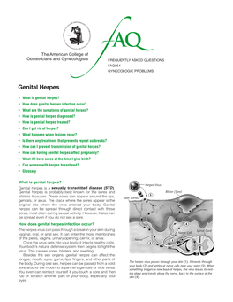 FAQ054 -- Genital Herpes