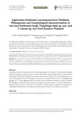 ﻿Lignicolous Freshwater Ascomycota from Thailand: Phylogenetic And