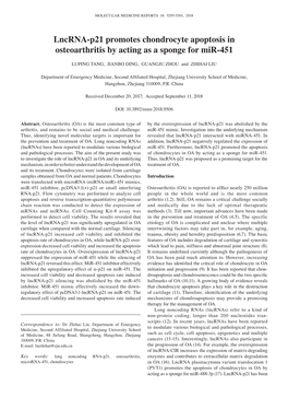 Lncrna‑P21 Promotes Chondrocyte Apoptosis in Osteoarthritis by Acting As a Sponge for Mir‑451