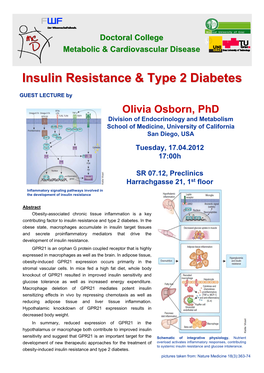 Insulin Resistance & Type 2 Diabetes