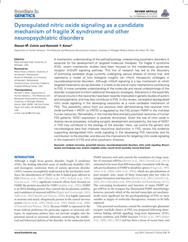 Dysregulated Nitric Oxide Signaling As a Candidate Mechanism of Fragile X Syndrome and Other Neuropsychiatric Disorders