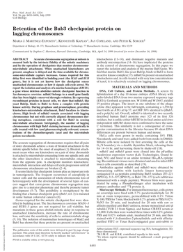 Retention of the Bub3 Checkpoint Protein on Lagging Chromosomes