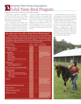 Solid Paint-Bred Program Opportunities Abound for Solid Horses in All APHA Programs