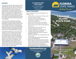 CALADESI ISLAND STATE PARK for Nearly Four Miles the Beach Dune Community Proliferates with Sea Oats, Dune Sunflower and #1 Causeway Boulevard Beach Morning Glory