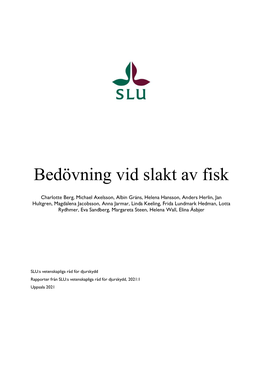 Bedövning Vid Slakt Av Fisk