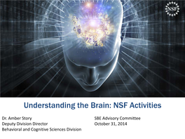 Understanding the BRAIN NSF's Role in the BRAIN Initiative