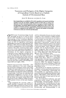 Taxonomy and Phylogeny of the Higher Categories of Cryptodiran Turtles Based on a Cladistic Analysis of Chromosomal Data