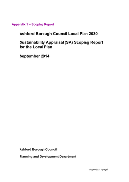 Ashford Local Plan