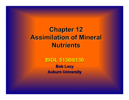Chapter 12 Assimilation of Mineral Nutrients
