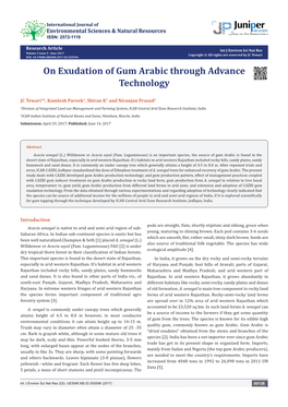On Exudation of Gum Arabic Through Advance Technology
