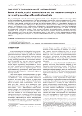 Terms of Trade, Capital Accumulation and the Macro-Economy in a Developing Country: a Theoretical Analysis