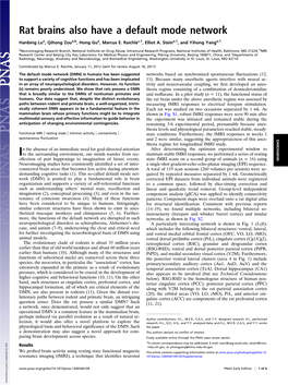 Rat Brains Also Have a Default Mode Network