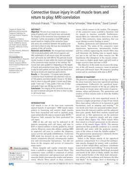 Connective Tissue Injury in Calf Muscle Tears and Return to Play