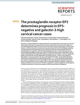 The Prostaglandin Receptor EP2 Determines Prognosis in EP3