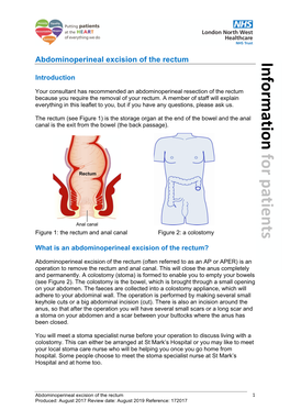 Abdominoperineal Excision of the Rectum Information