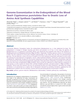 Genome Economization in the Endosymbiont of the Wood Roach Cryptocercus Punctulatus Due to Drastic Loss of Amino Acid Synthesis Capabilities