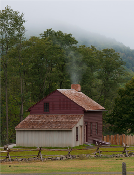 Priesthood Restoration Site