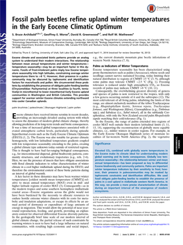Fossil Palm Beetles Refine Upland Winter Temperatures in the Early Eocene Climatic Optimum