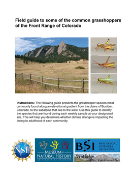 Field Guide to Some of the Common Grasshoppers of the Front Range of Colorado