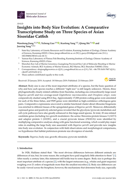 Insights Into Body Size Evolution: a Comparative Transcriptome Study on Three Species of Asian Sisoridae Catﬁsh
