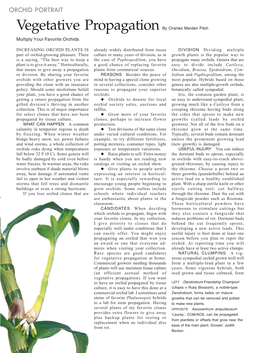 Vegetative Propagation by Charles Marden Fitch Multiply Your Favorite Orchids