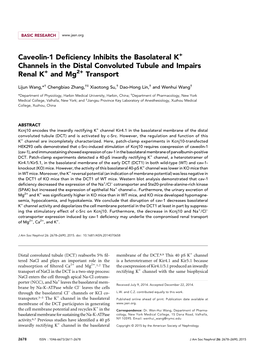 Caveolin-1 Deficiency Inhibits the Basolateral K Channels in The