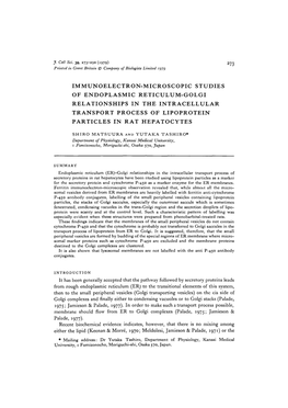 Immunoelectron-Microscopic Studies of Endoplasmic Reticulum-Golgi Relationships in the Intracellular Transport Process of Lipoprotein Particles in Rat Hepatocytes