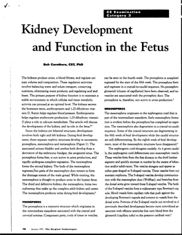 Kidney Development and Function in the Fetus