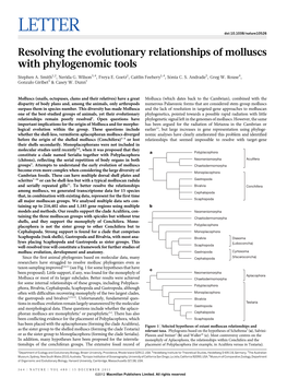 Resolving the Evolutionary Relationships of Molluscs with Phylogenomic Tools