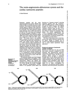 The Renin-Angiotensin-Aldosterone System and The