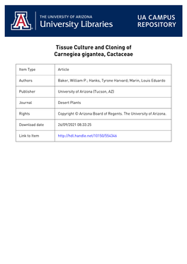 Tissue Culture and Cloning of Carnegiea Gigantea, Cactaceae