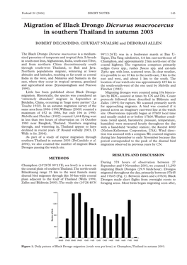 Migration of Black Drongo Dicrurus Macrocercus in Southern Thailand in Autumn 2003