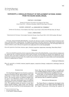 Gorceixite, a Singular Product of Replacement in Fossil Bones from the Bauru Basin, Brazil