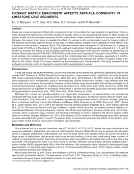 Organic Matter Enrichment Affects Archaea Community in Limestone Cave Sediments