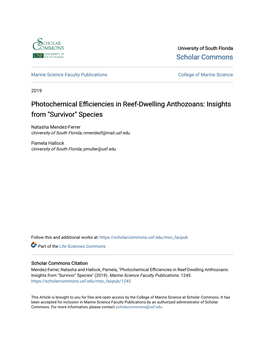 Photochemical Efficiencies in Reef-Dwelling Anthozoans: Insights from 